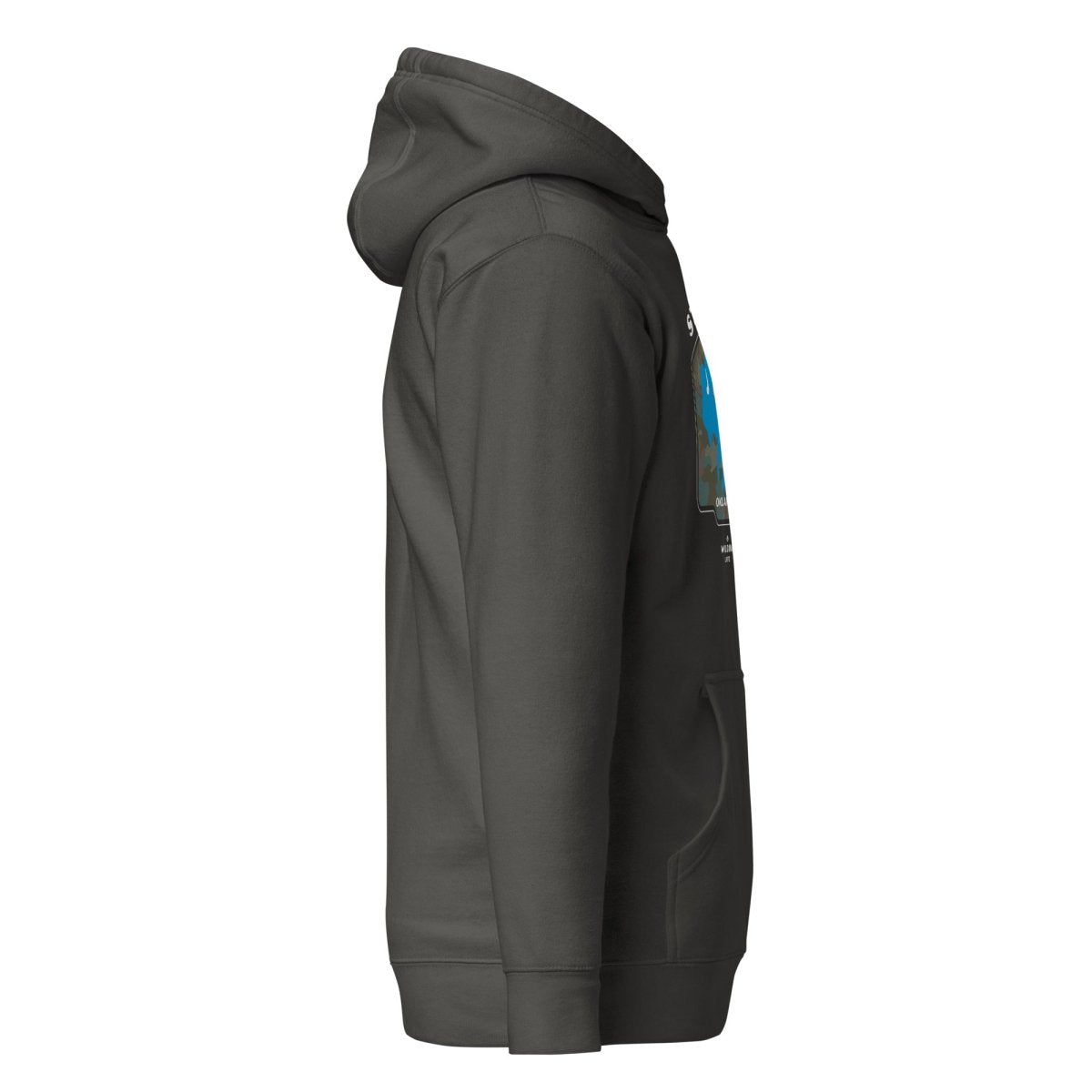 Stay Wild Oklahoma Buffalo Hoodie - Wilding Life