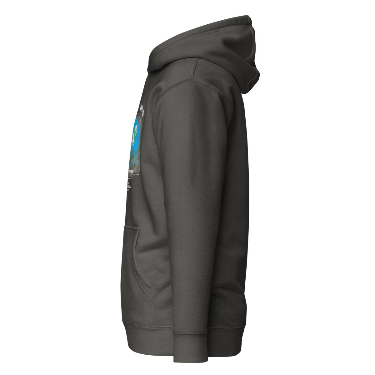 Stay Wild Oklahoma Buffalo Hoodie - Wilding Life