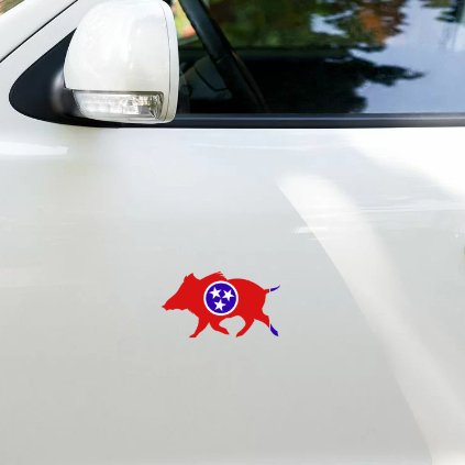 Tennessee Boar Clear Cut Decal - Wilding Life